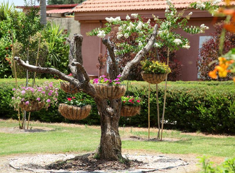 Shaar Hagolan Kibbutz Country Lodging Eksteriør billede